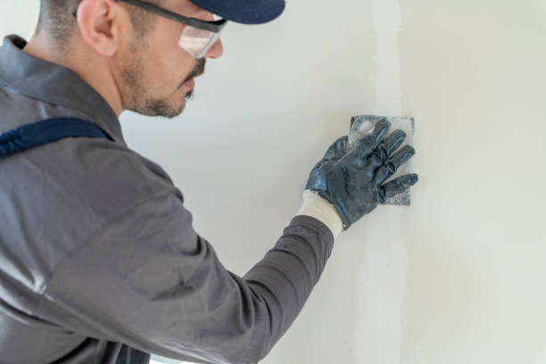 Reliable Montgomery Village, MD Mold Removal Solutions