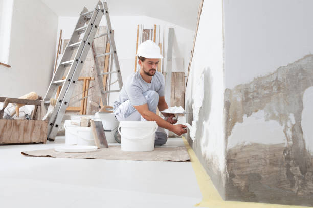 Best Real Estate Mold Inspection  in Montgomery Village, MD